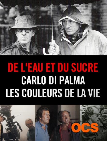 OCS - De l'eau et du sucre : Carlo Di Palma, les couleurs de la vie