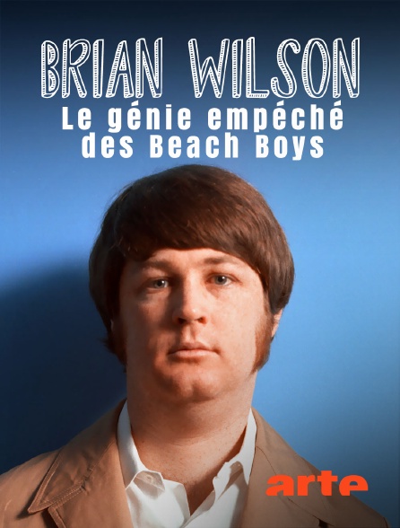 Arte - Brian Wilson : Le génie empêché des Beach Boys