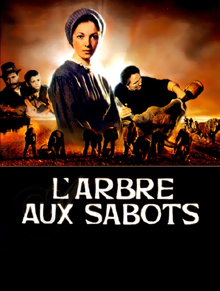 L'arbre aux sabots