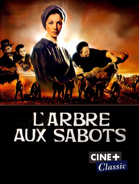 Ciné+ Classic - L'arbre aux sabots