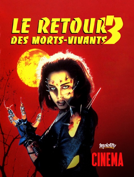 Molotov Channels Cinéma - Le retour des morts-vivants 3