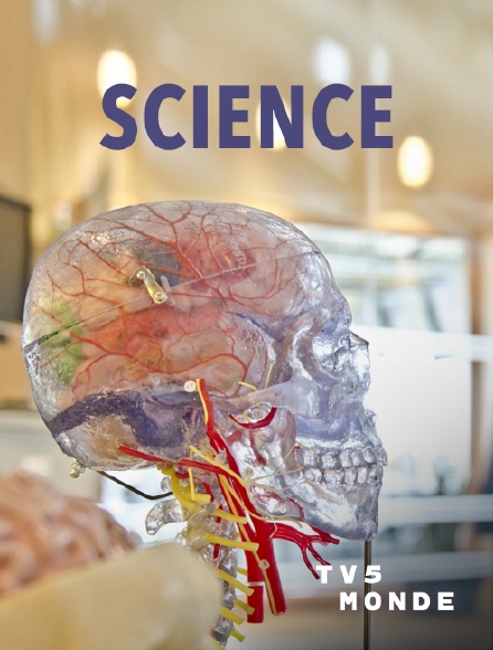 TV5MONDE - Montréal sauvage