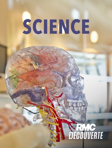 RMC Découverte - TGV : les 10 secrets d'un fleuron français