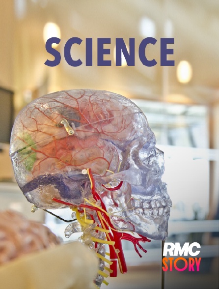 RMC Story - Legos : les 30 constructions les plus incroyables - volume 3