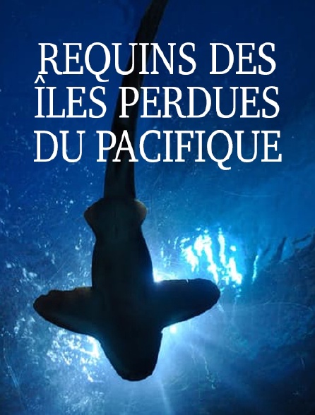 Requins des îles perdues du Pacifique