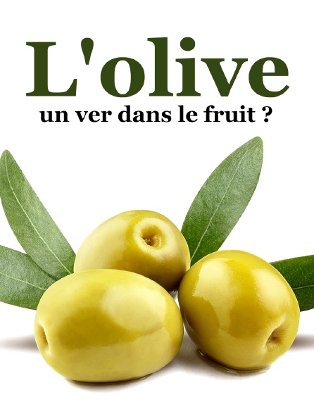 L'olive, un ver dans le fruit ?