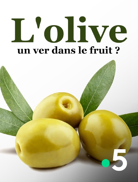 France 5 - L'olive, un ver dans le fruit ?