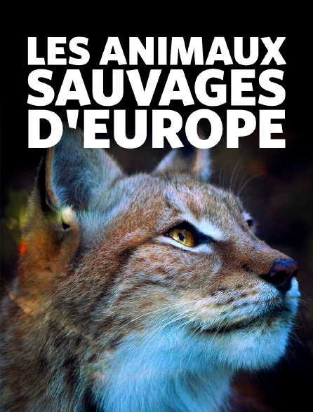 Les animaux sauvages d'Europe