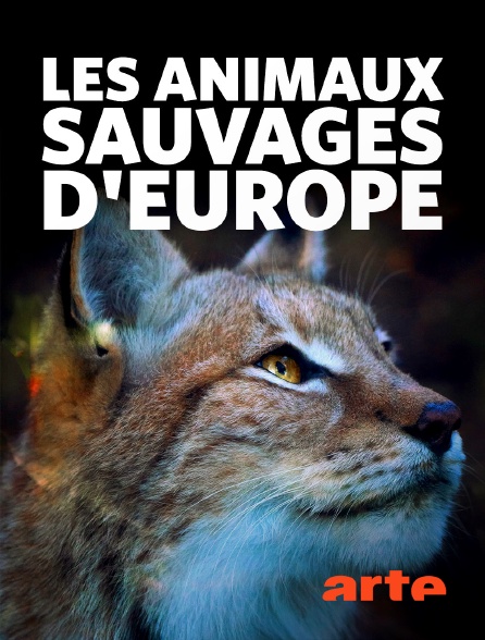 Arte - Les animaux sauvages d'Europe