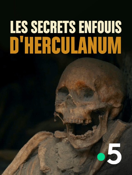 France 5 - Les secrets enfouis d'Herculanum