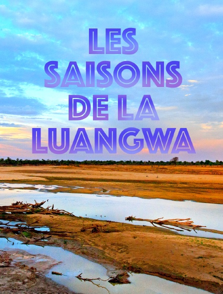 Les saisons de la Luangwa
