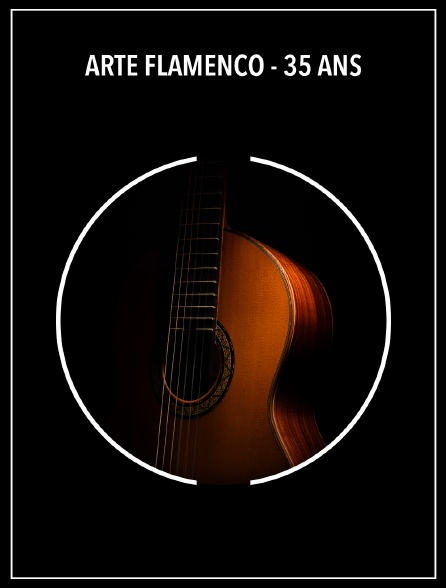 Arte Flamenco - 35 ans