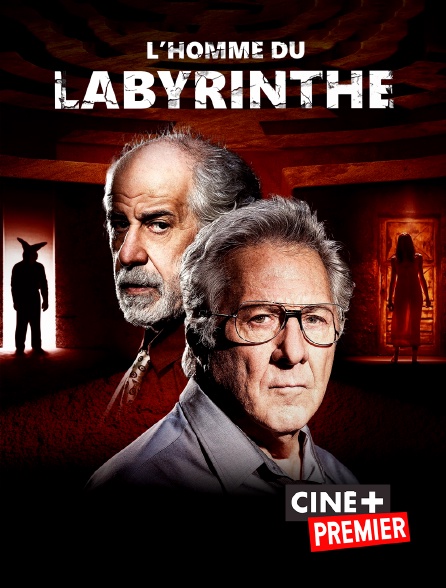 Ciné+ Premier - L'homme du labyrinthe