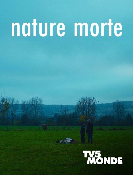 TV5MONDE - Nature morte