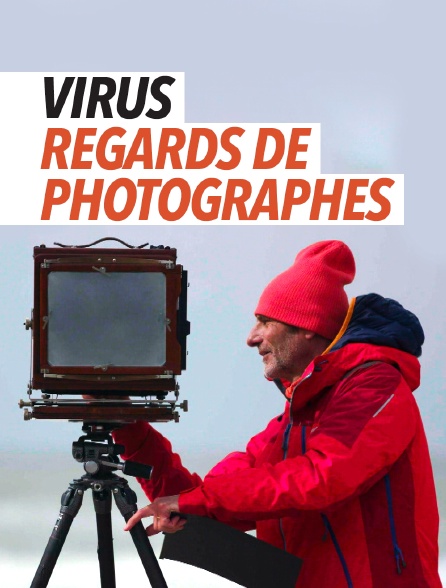 Virus, regards de photographes