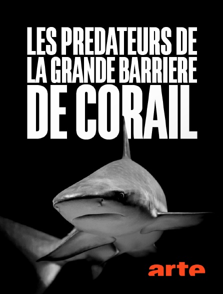Arte - Les prédateurs de la Grande Barrière de corail