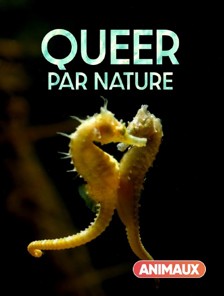 Animaux - Queer par nature