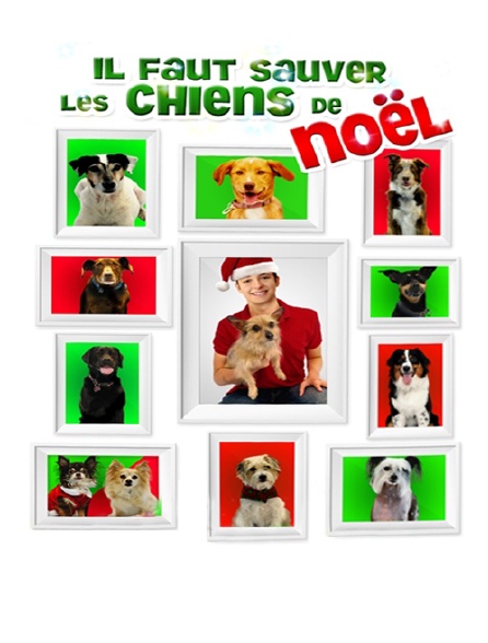 Il faut sauver les chiens de Noël