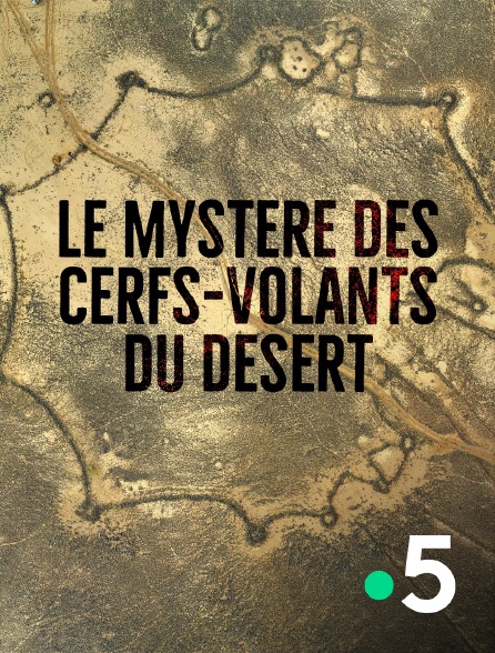 France 5 - Le mystère des cerfs-volants du désert