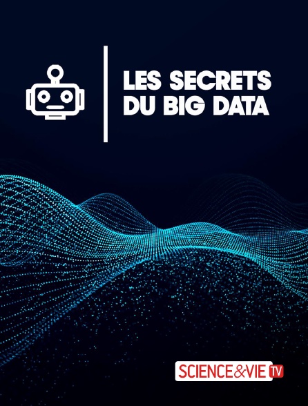 Science et Vie TV - Les secrets du big data