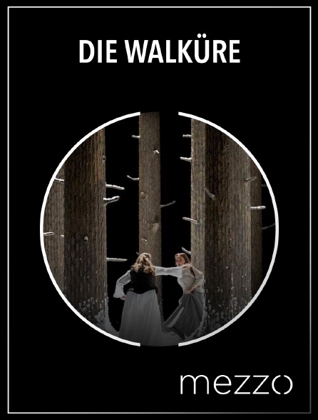 Mezzo - Die Walküre