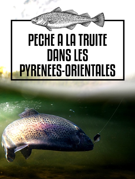 Pêche à la truite dans les Pyrénées-Orientales