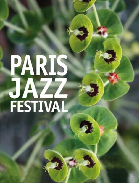 Paris Jazz Festival 2013