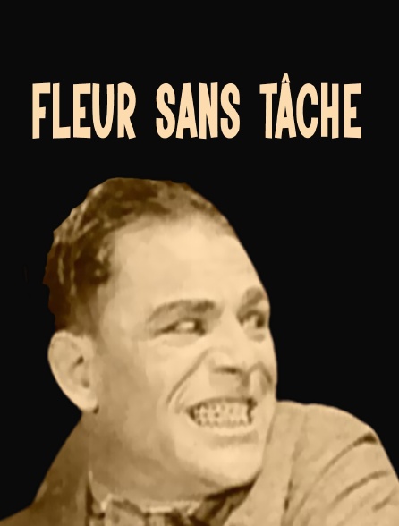 Fleur sans tâche