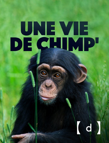 France TV Docs - Une vie de chimp'
