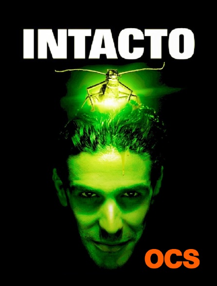 OCS - Intacto