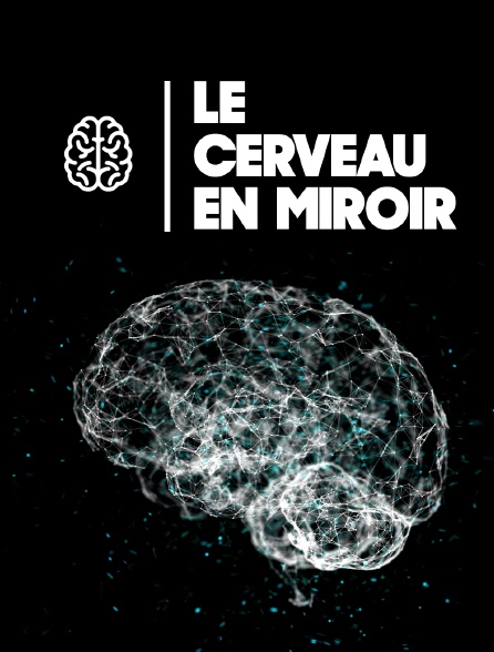 Le cerveau en miroir