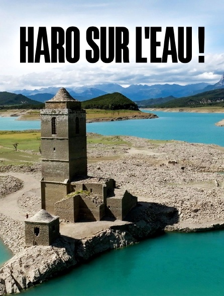 Haro sur l'eau ! : Les fleuves en détresse