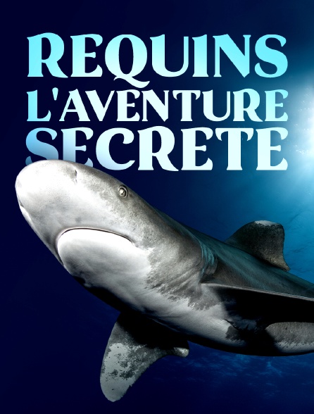 Requins, l'aventure secrète