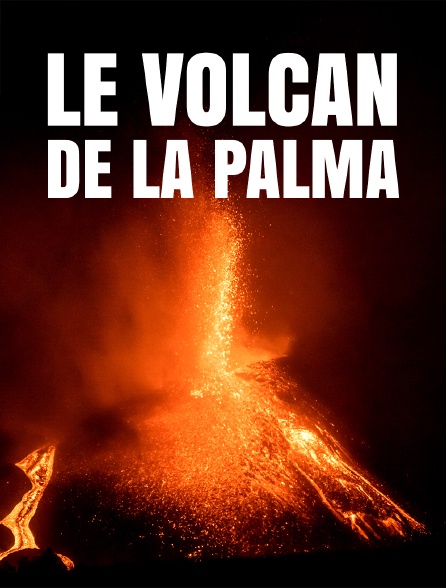 Le volcan de La Palma : la vie après l'éruption