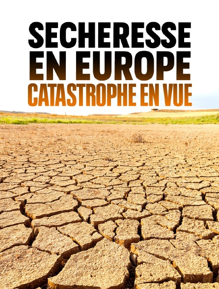 Sécheresse en Europe : catastrophe en vue