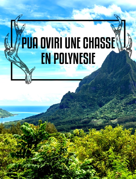 Pua oviri, une chasse en Polynésie