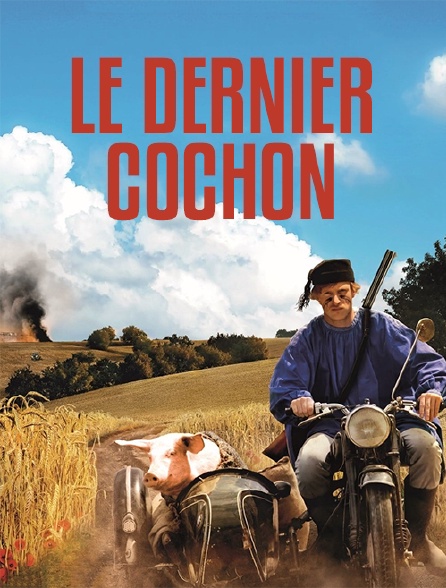 Le dernier cochon