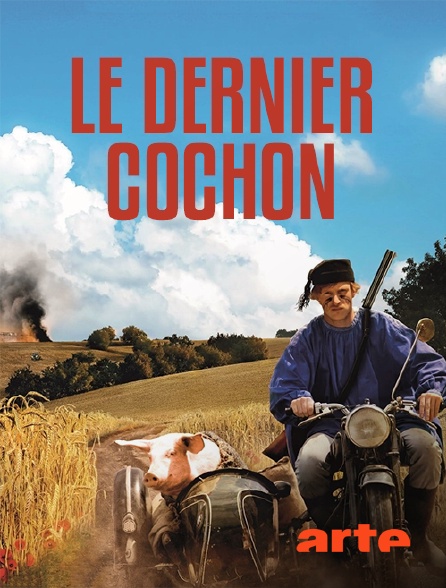 Arte - Le dernier cochon
