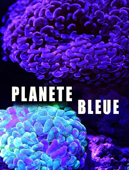 Planète bleue