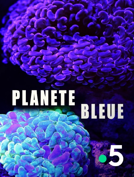 France 5 - Planète bleue
