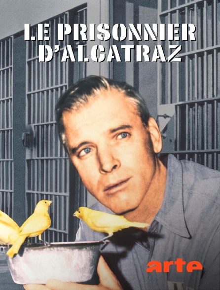 Arte - Le prisonnier d'Alcatraz