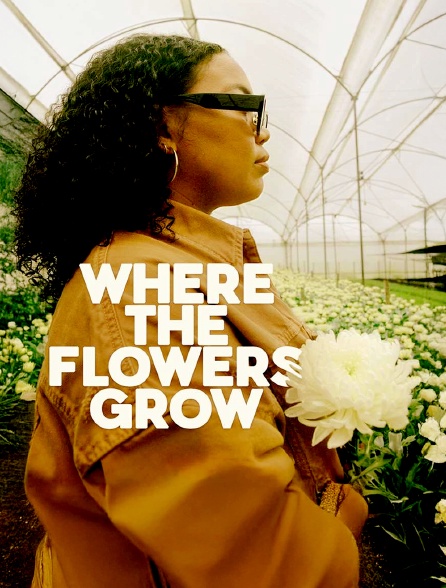Where the flower grow