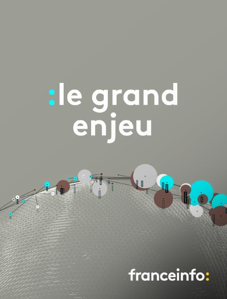franceinfo: - Le grand enjeu en replay