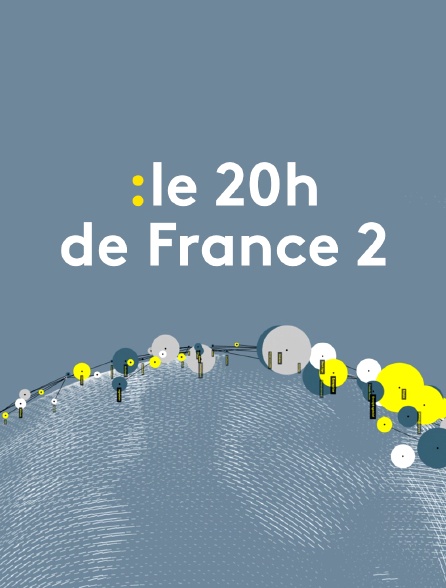 Le 20h de France 2 (Journal)