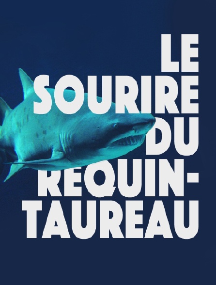 Le sourire du requin-taureau