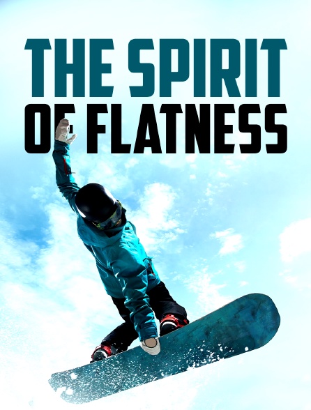 The Spirit of Flatness