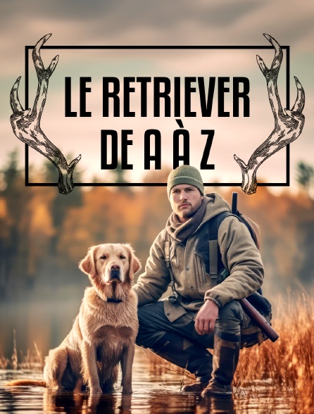 Le retriever de A à Z