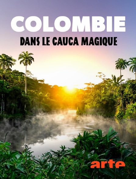 Arte - Colombie : Le sud-ouest du pays