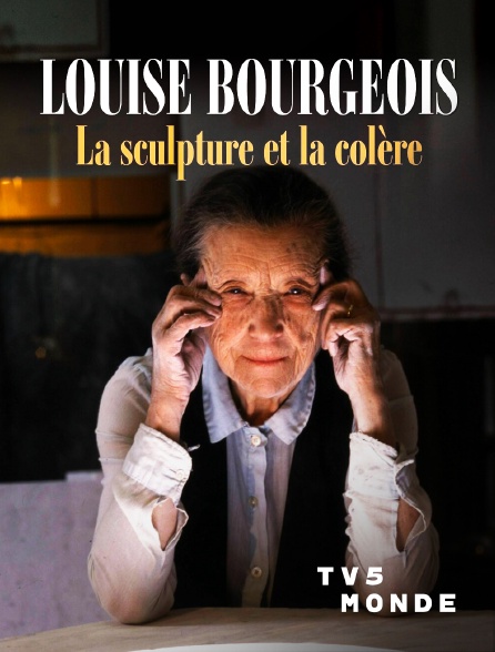 TV5MONDE - Louise Bourgeois, la sculpture et la colère