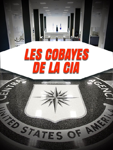 Les cobayes de la CIA